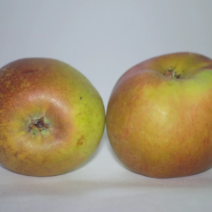 pomme croquet noir (1)