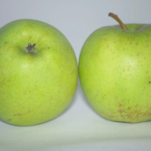 pomme golden