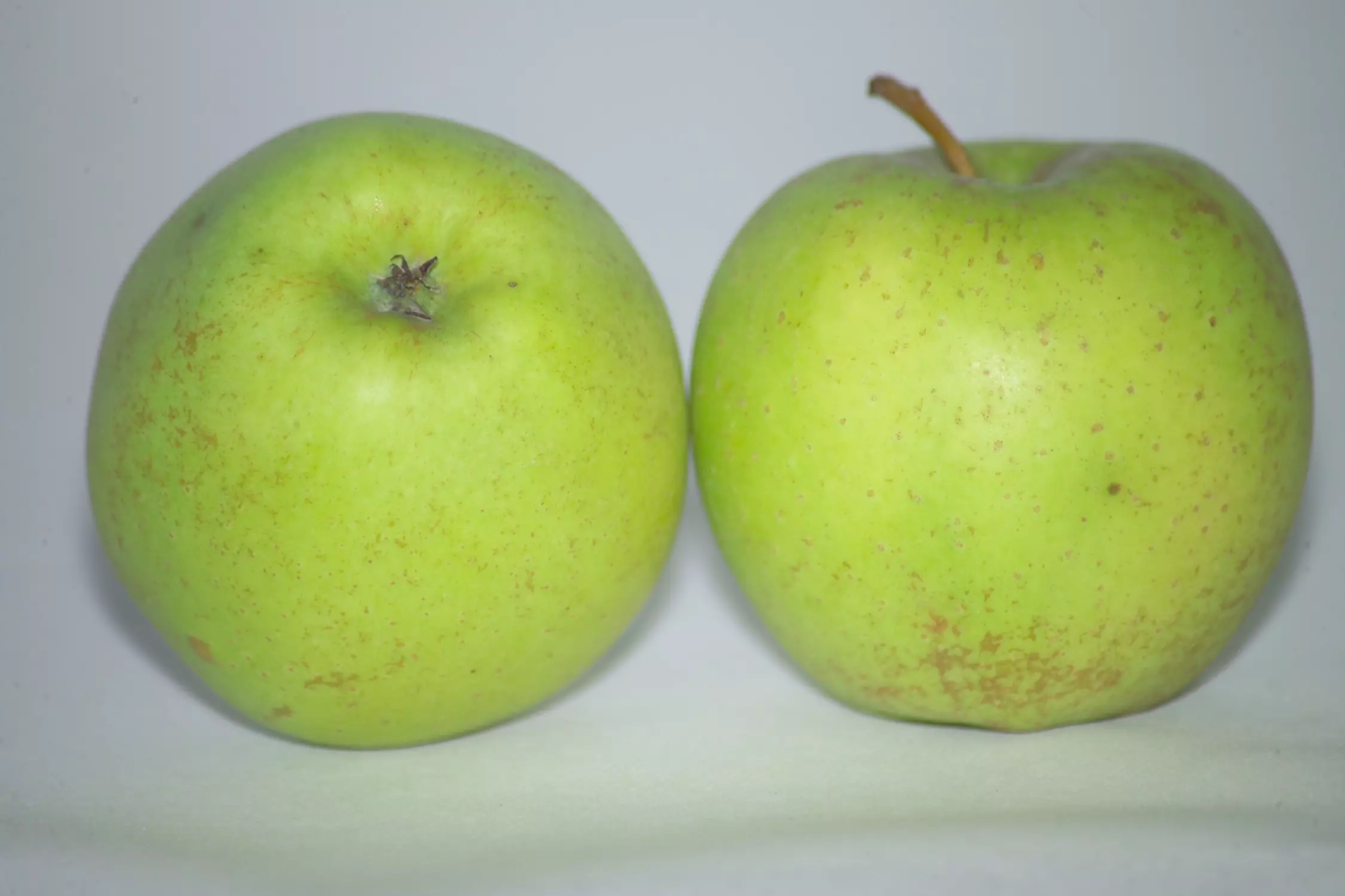 pomme golden