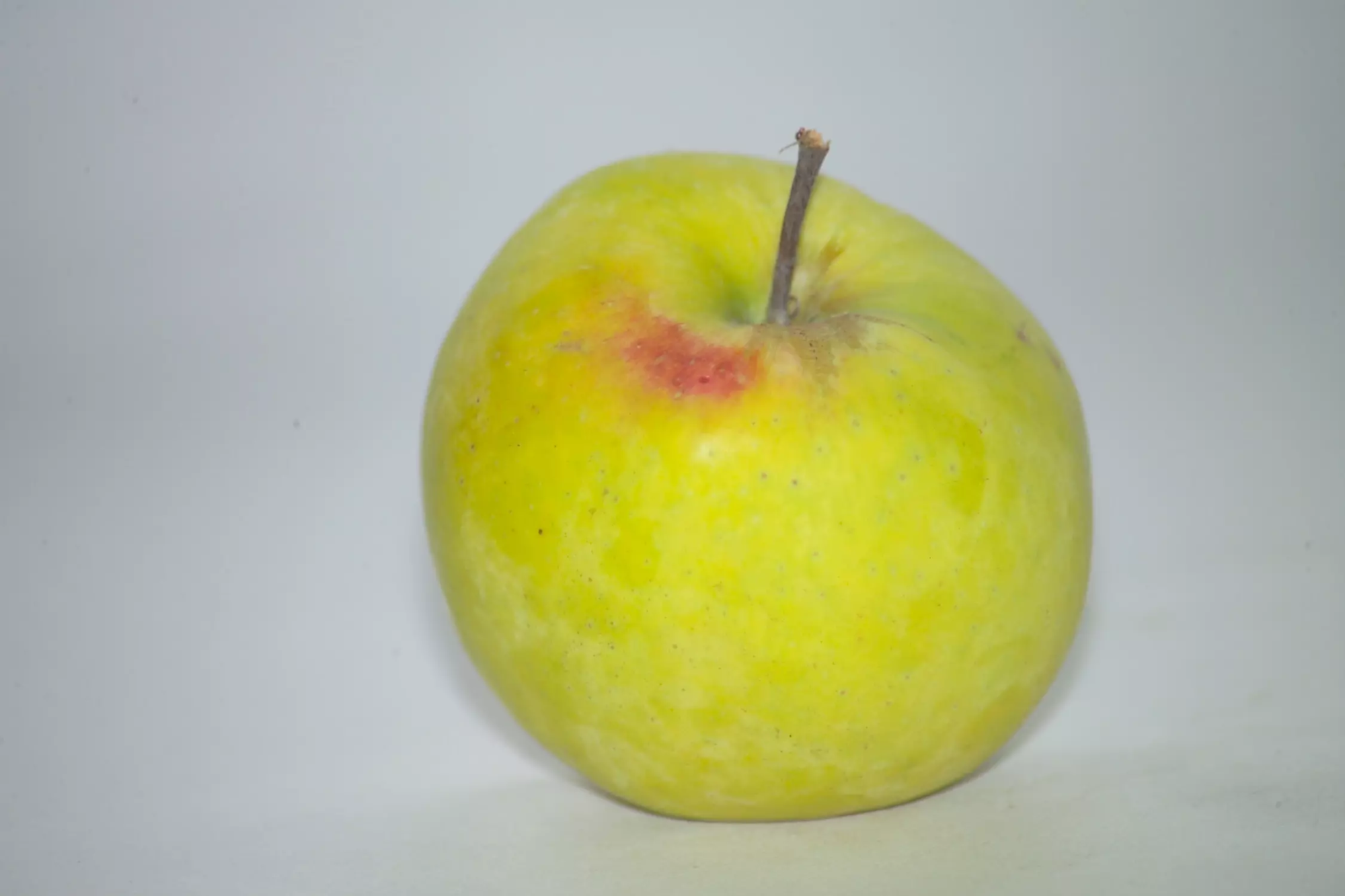 pomme transparente de Croncels (1)