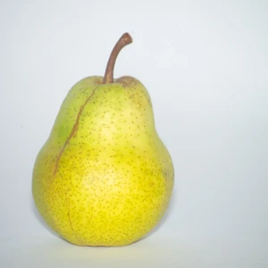 Beurré Diel