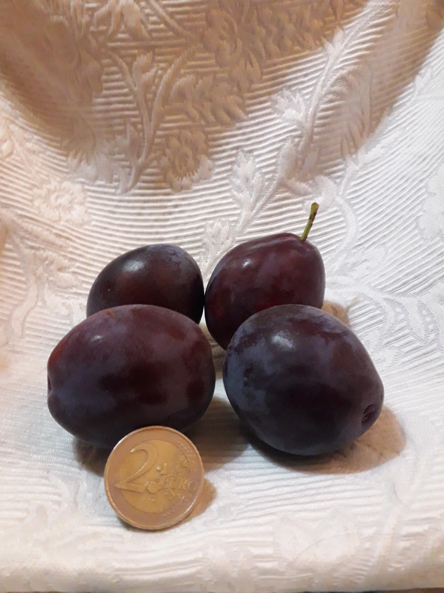 Prune de Monsieur hâtif
